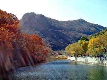 新澳天天开奖资料大全旅游团，明锐论坛